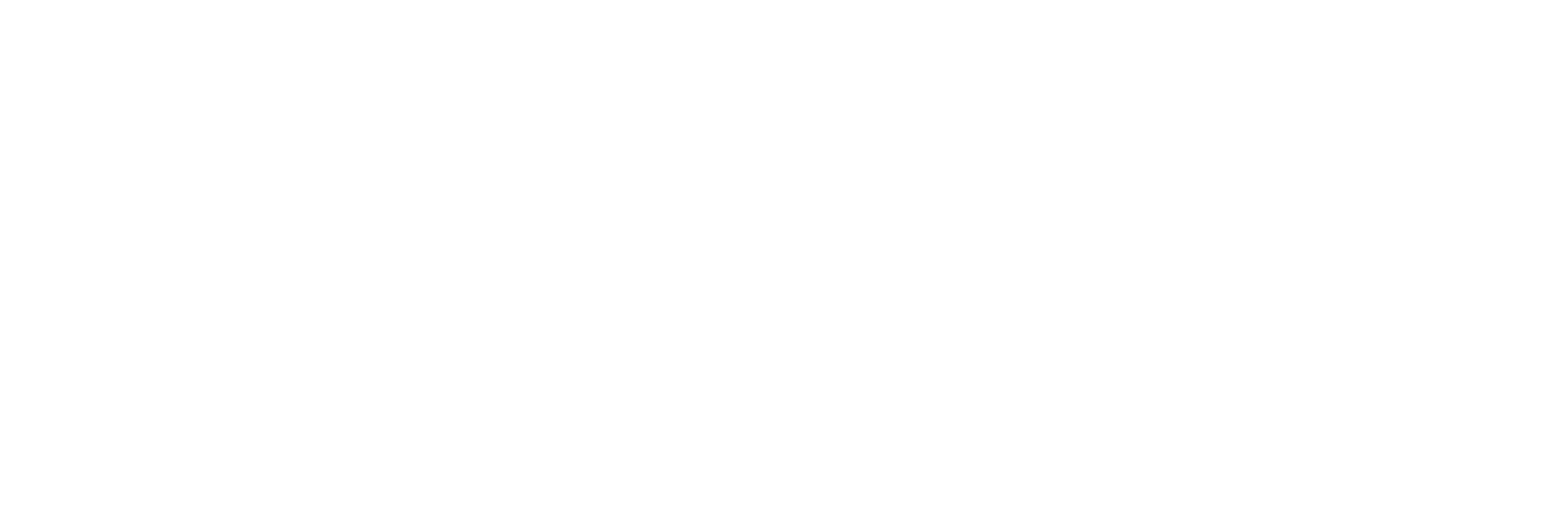 Logo Virtus
